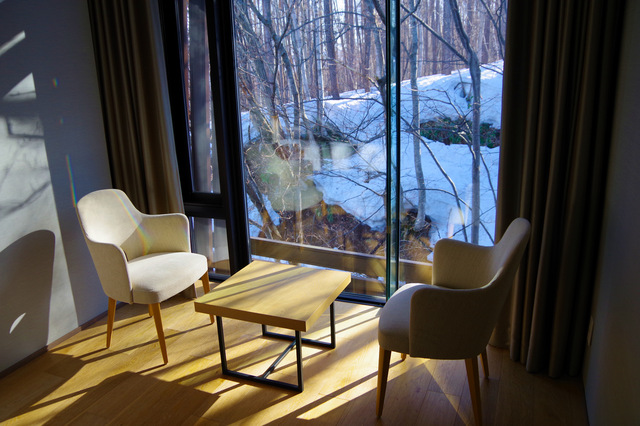 白樺の木材とは？特徴・メリット・デメリットから活用事例まで解説！