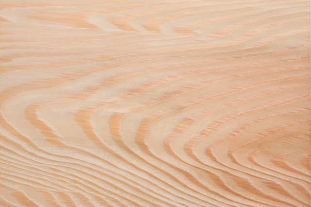 タモ材の特徴と魅力を解説