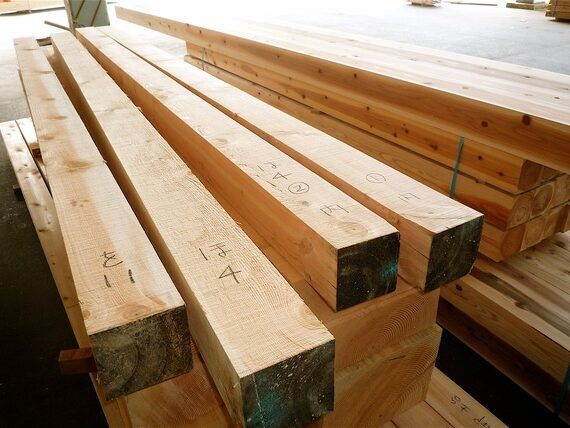 プロが解説するタモ材の特徴！メリット・デメリットから人気の理由を探る