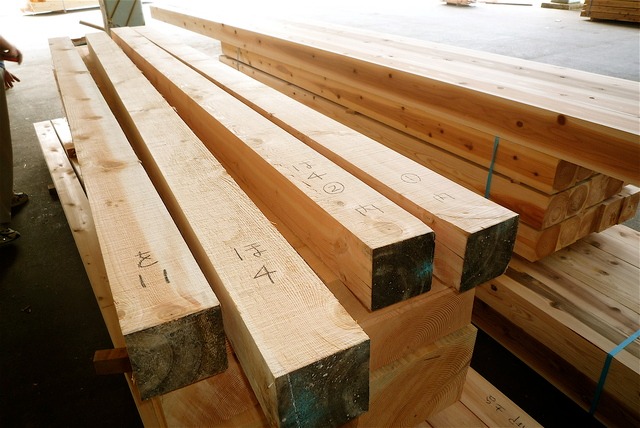 プロが解説するタモ材の特徴！メリット・デメリットから人気の理由を探る