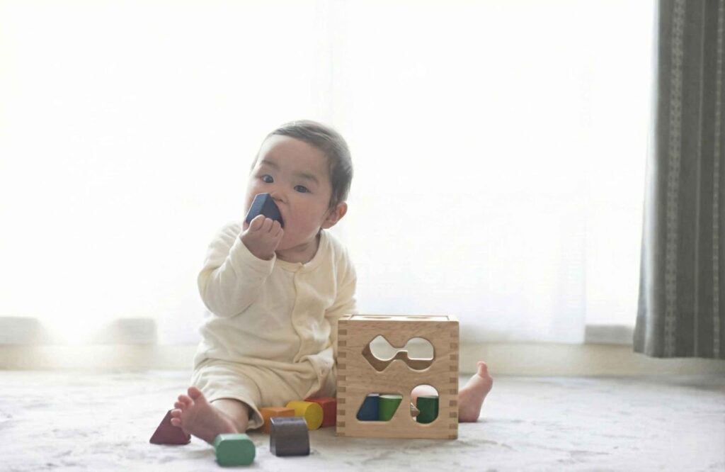 4. 【1.5歳〜】指先と頭を使う「形合わせパズルボックス」